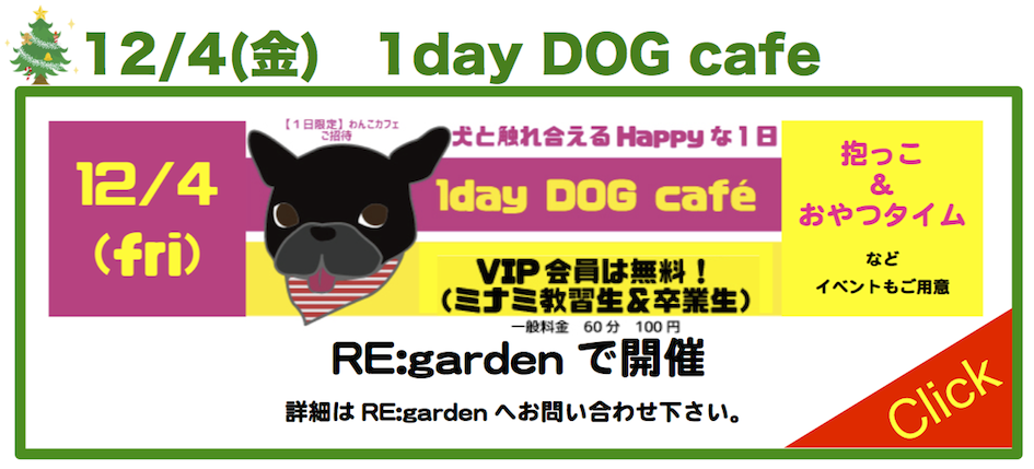 毎日行きたくなるグルメ情報H27.12月dog