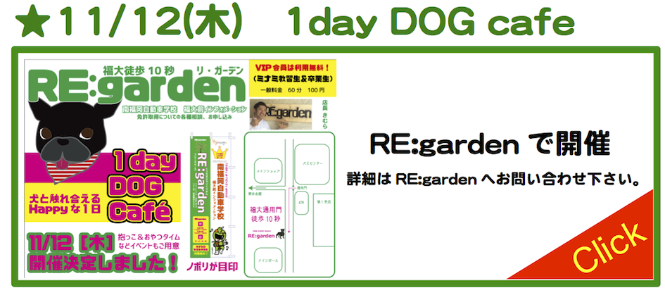 毎日行きたくなるグルメ情報H27.11月dog